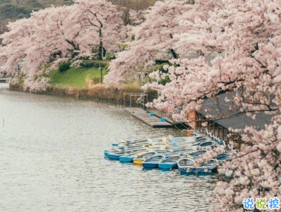 假裝開心的說說帶圖片 心里有苦不想說的心情短語14