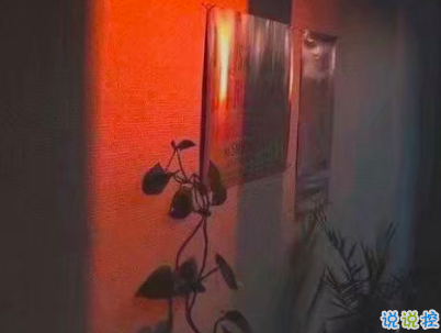 朋友圈晚安心語文藝小短句 2019簡短個性晚安說說配圖14