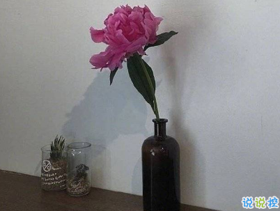 2019五月份表白的甜句子配圖 深情而溫暖的表白情話6