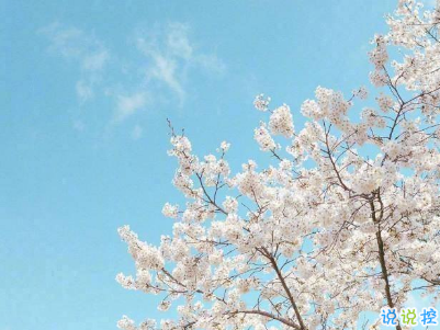 2019五月份表白的甜句子配圖 深情而溫暖的表白情話3