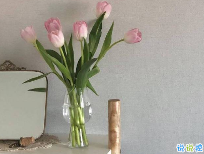 2019五月份表白的甜句子配圖 深情而溫暖的表白情話7