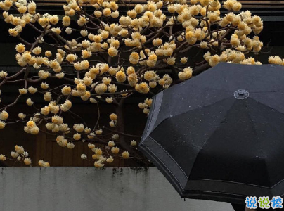 2019五月份表白的甜句子配圖 深情而溫暖的表白情話14