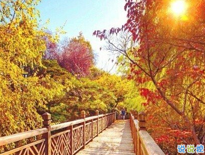 2019五一放假說說心情短語配圖 五一到了假期心情說說7