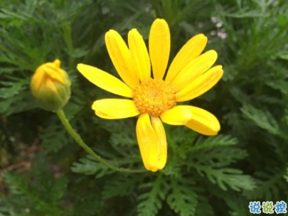 2019五一放假說說心情短語配圖 五一到了假期心情說說13