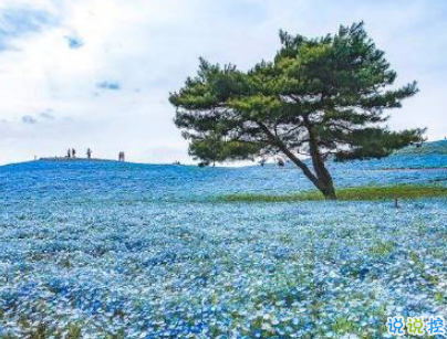 2019五一放假說說心情短語配圖 五一到了假期心情說說14