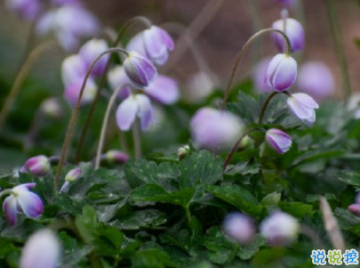 2019五一放假說說心情短語配圖 五一到了假期心情說說3