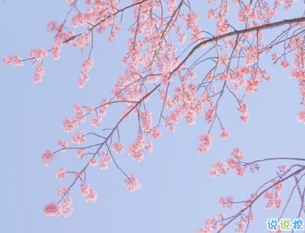 2019好聽(tīng)的微信愛(ài)情說(shuō)說(shuō)帶圖片 簡(jiǎn)單幸福的愛(ài)情說(shuō)說(shuō)4