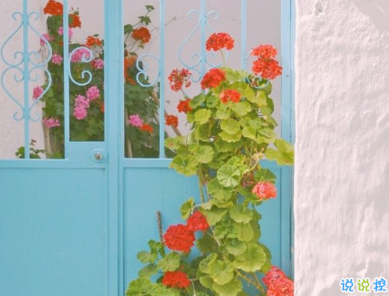 2019好聽(tīng)的微信愛(ài)情說(shuō)說(shuō)帶圖片 簡(jiǎn)單幸福的愛(ài)情說(shuō)說(shuō)10