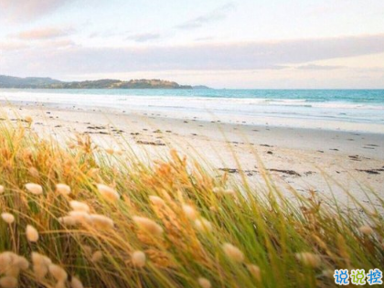 簡(jiǎn)單文藝愛(ài)情小短句2019 我不喜歡這世界我只喜歡你2