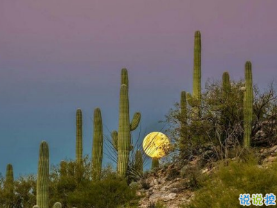 很喪感到絕望的句子 心情是黑色的悲傷說說1