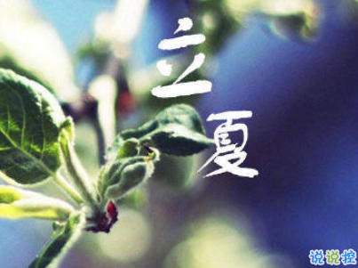 2019立夏節(jié)氣朋友圈說(shuō)說(shuō)配圖 夏天到了的說(shuō)說(shuō)大全6