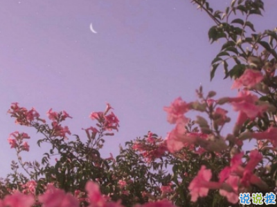 微信早安問候語簡短帶圖片 2019早安暖心話十字以內(nèi)12