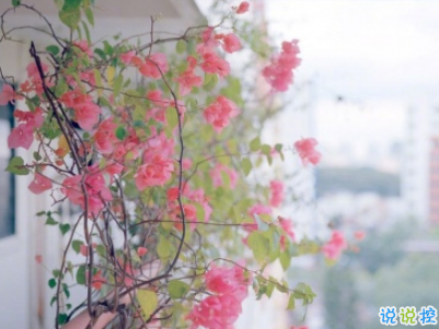 微信早安問候語簡短帶圖片 2019早安暖心話十字以內(nèi)1