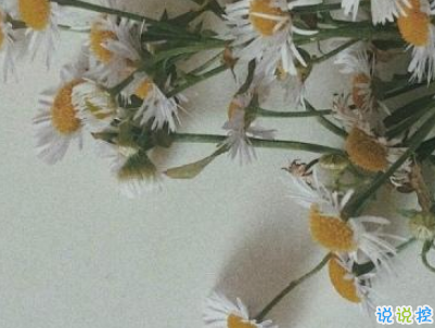 唯美文藝愛(ài)情說(shuō)說(shuō)帶圖片 女生發(fā)朋友圈的文藝小短句5