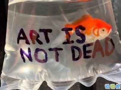 唯美文藝愛(ài)情說(shuō)說(shuō)帶圖片 女生發(fā)朋友圈的文藝小短句10