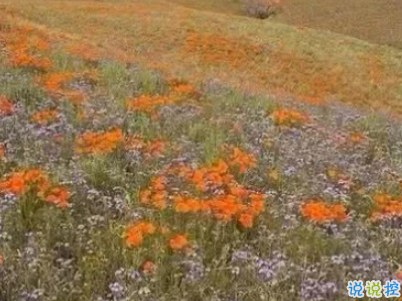 唯美文藝愛(ài)情說(shuō)說(shuō)帶圖片 女生發(fā)朋友圈的文藝小短句7