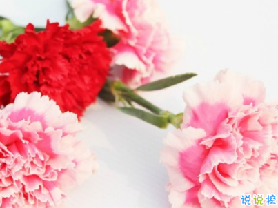 2019母親節(jié)感恩祝福語(yǔ)帶圖片 母親節(jié)的暖心話逗媽媽開心16