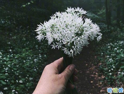 最新qq空間傷感說(shuō)說(shuō)帶圖片 qq淡淡憂傷的說(shuō)說(shuō)心情短語(yǔ)9