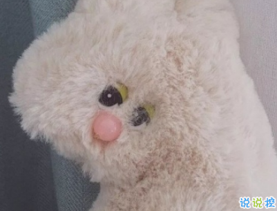 高質(zhì)量朋友圈搞笑說說配圖 像是點(diǎn)了笑穴的幽默句子5