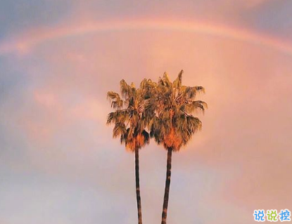 勵(lì)志哲理句子簡短精辟 2019最新微信哲理說說1