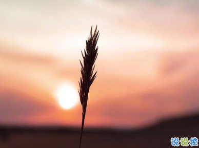 最新戀愛一周年的浪漫語(yǔ)錄 戀愛紀(jì)念日簡(jiǎn)單句子1