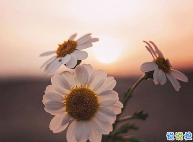 最新戀愛一周年的浪漫語(yǔ)錄 戀愛紀(jì)念日簡(jiǎn)單句子2