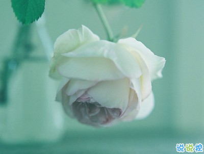 女生唯美文藝說說帶圖片 最近很流行的女生文藝小短句7