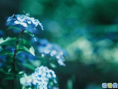 女生唯美文藝說說帶圖片 最近很流行的女生文藝小短句15