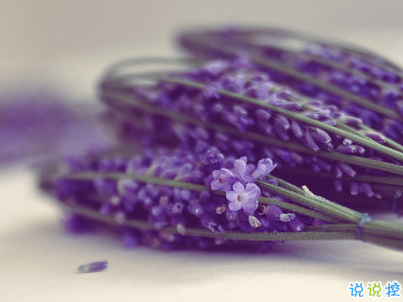 女生唯美文藝說說帶圖片 最近很流行的女生文藝小短句12