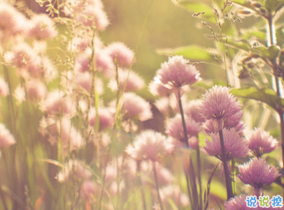 女生唯美文藝說說帶圖片 最近很流行的女生文藝小短句10