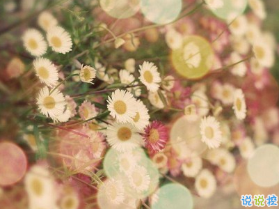 女生唯美文藝說說帶圖片 最近很流行的女生文藝小短句5