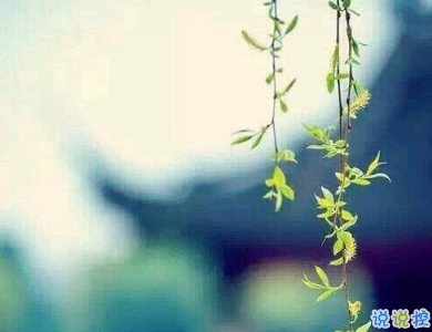 一個人的說說傷感心情短語配圖 感到無力心酸的說說5