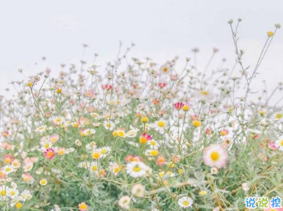 一個人的說說傷感心情短語配圖 感到無力心酸的說說15