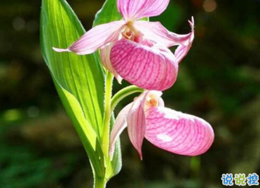 2019致自己說說勵志陽光 充滿力量的朋友圈說說1