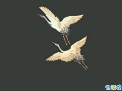 2019最新經(jīng)典愛情說說配圖 qq空間很流行的愛情語錄3