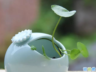 治愈系早安心語帶圖片 最新早上發(fā)微信的早安句子2