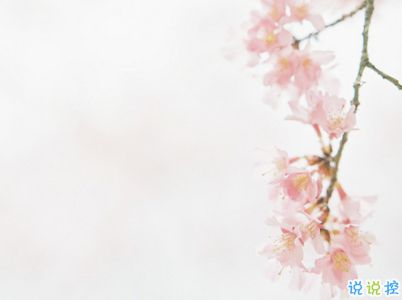 人生勵志哲理說說大全帶圖片 走心的句子經(jīng)典2019最新14