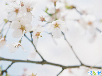 人生勵志哲理說說大全帶圖片 走心的句子經(jīng)典2019最新12