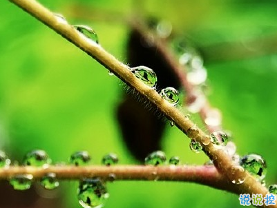 女生小清新早安說(shuō)說(shuō)帶圖片 簡(jiǎn)約好聽(tīng)的早安句子大全2