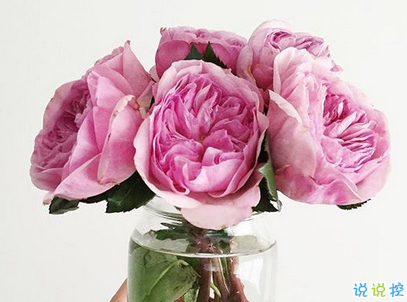 女生小清新早安說(shuō)說(shuō)帶圖片 簡(jiǎn)約好聽(tīng)的早安句子大全7