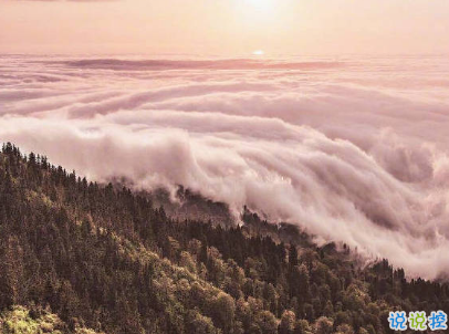 2019小滿節(jié)氣祝福語說說帶圖片 小滿節(jié)氣的優(yōu)美句子好聽5