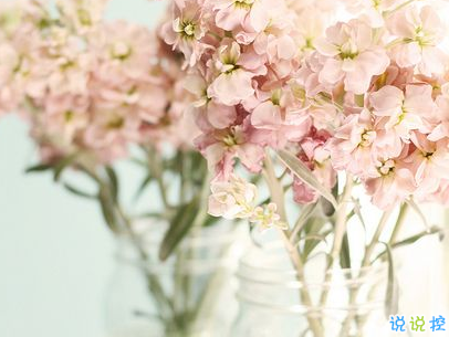 2019小滿節(jié)氣祝福語說說帶圖片 小滿節(jié)氣的優(yōu)美句子好聽8