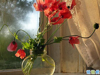 2019小滿節(jié)氣祝福語說說帶圖片 小滿節(jié)氣的優(yōu)美句子好聽13