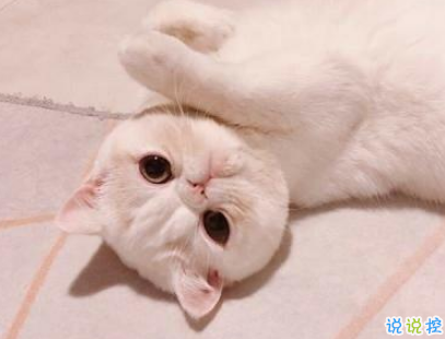 非常有意思搞笑的微信說說 專治不開心的句子1