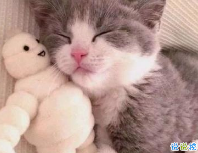 非常有意思搞笑的微信說說 專治不開心的句子2