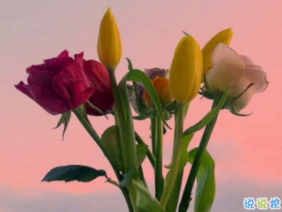 晚安心語勵志簡短一點 睡前晚安說說精選帶圖片15