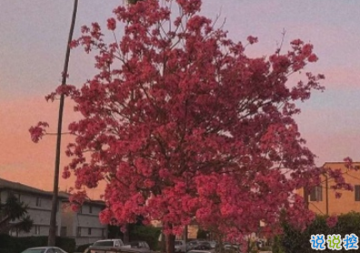 2019抖音最火情侶說說 很甜很撩人的說說艾特對象2