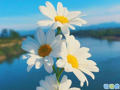 深入人心的經(jīng)典說說配圖 抖音經(jīng)典內(nèi)涵說說大全7