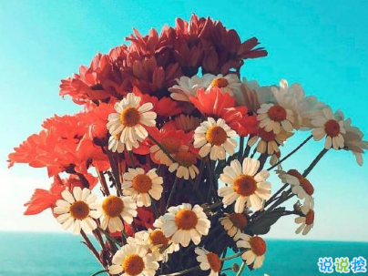 深入人心的經(jīng)典說說配圖 抖音經(jīng)典內(nèi)涵說說大全14