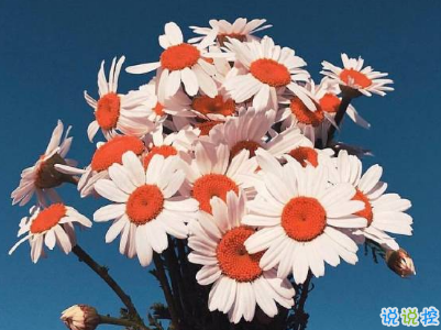 深入人心的經(jīng)典說說配圖 抖音經(jīng)典內(nèi)涵說說大全4